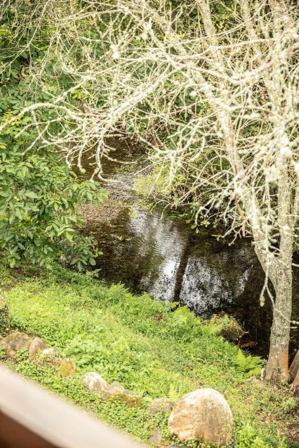 Lugar Del Rio Pensionat Couzadoiro Exteriör bild
